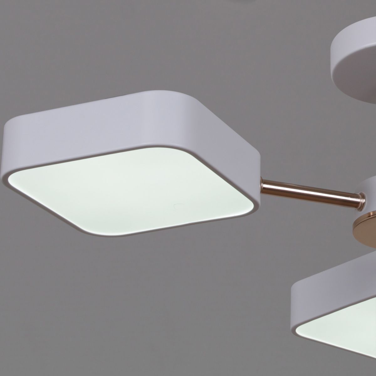 Люстра на штанге Reluce 03360-0.3-05 WH+FGD в Санкт-Петербурге