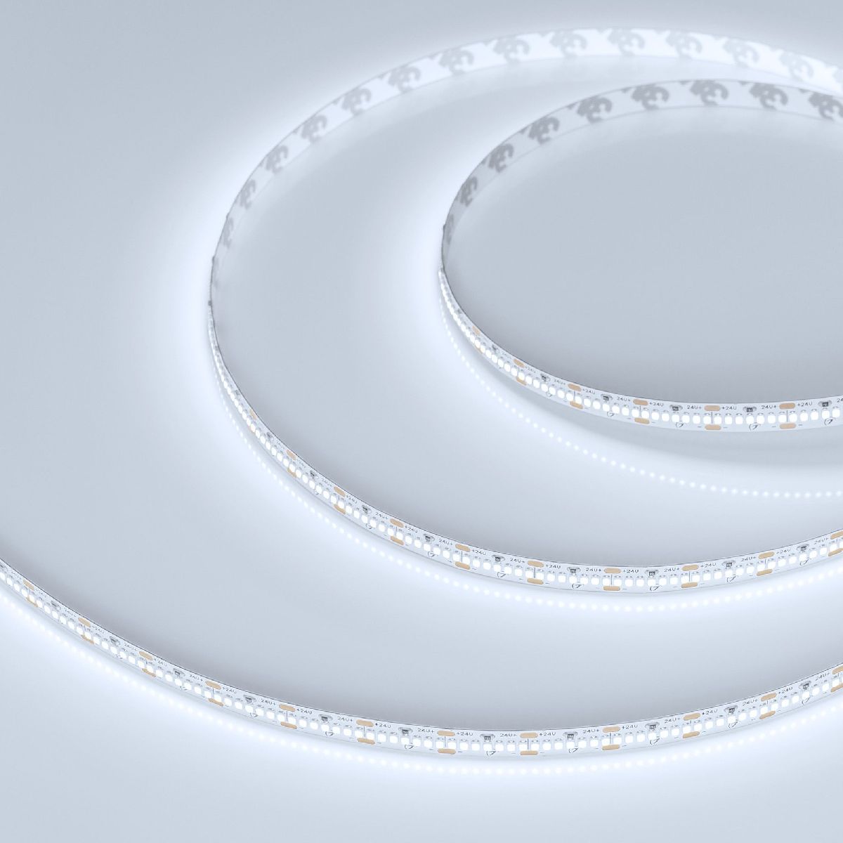 Светодиодная лента Arlight MICROLED-M420-8mm 24V White6000 (9.6 W/m, IP20, 2216, 5m) 046742 в Санкт-Петербурге