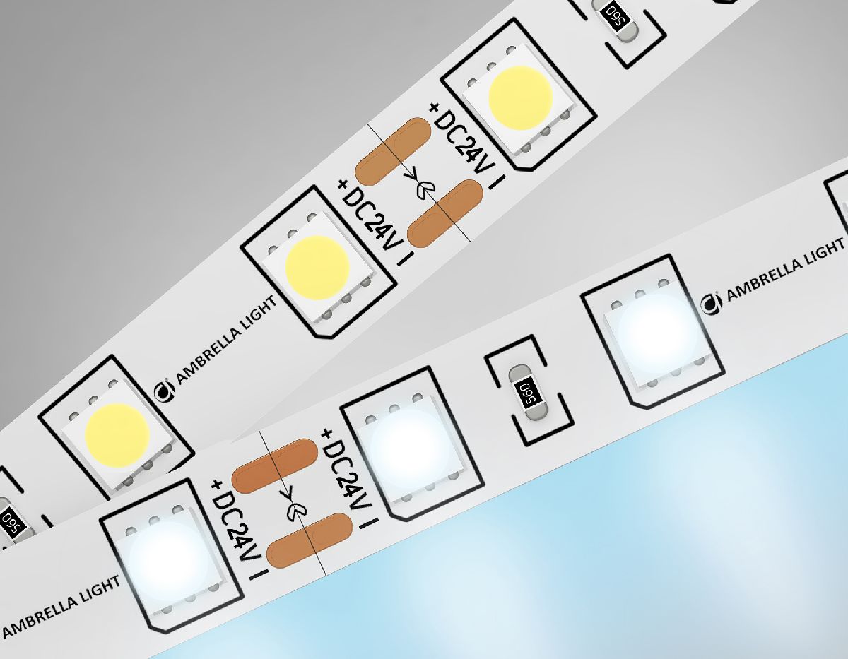 Светодиодная лента Ambrella Light Illumination 24В 5050 14,4Вт/м 6500K 5м IP20 GS4003 в Санкт-Петербурге