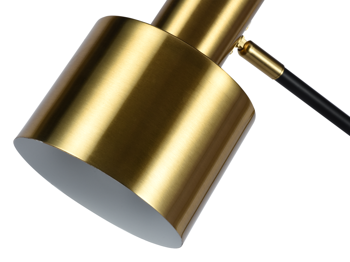 Настольная лампа Zortes DeskLight ZRS.1066.03 в Санкт-Петербурге