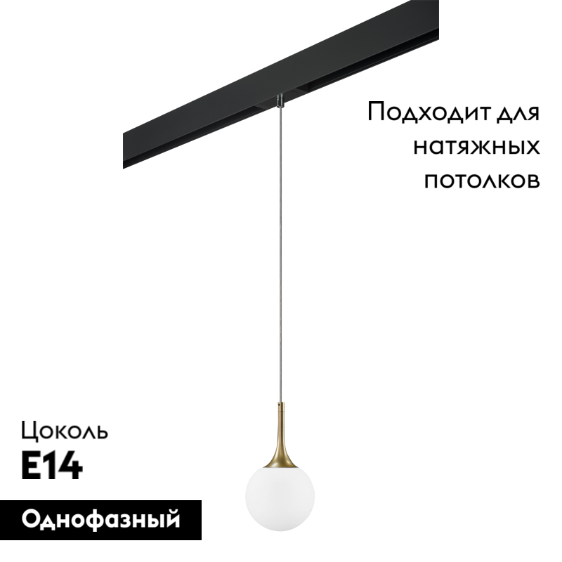 Трековый светильник Lightstar Globo PRO813012 (813012+595007) в Санкт-Петербурге