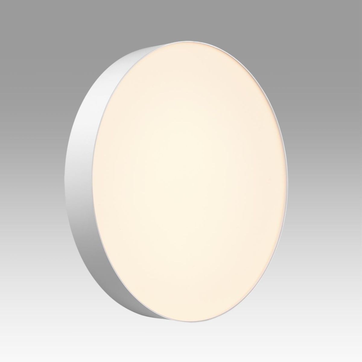 Настенно-потолочный светильник Sonex Basica Optima 7779/ELN в Санкт-Петербурге