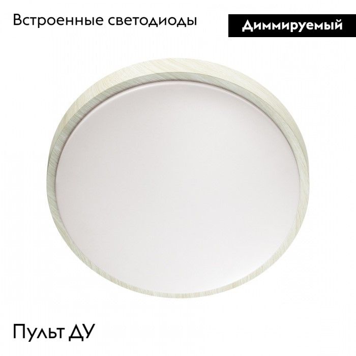 Настенно-потолочный светильник Sonex Losta 7628/EL в Санкт-Петербурге