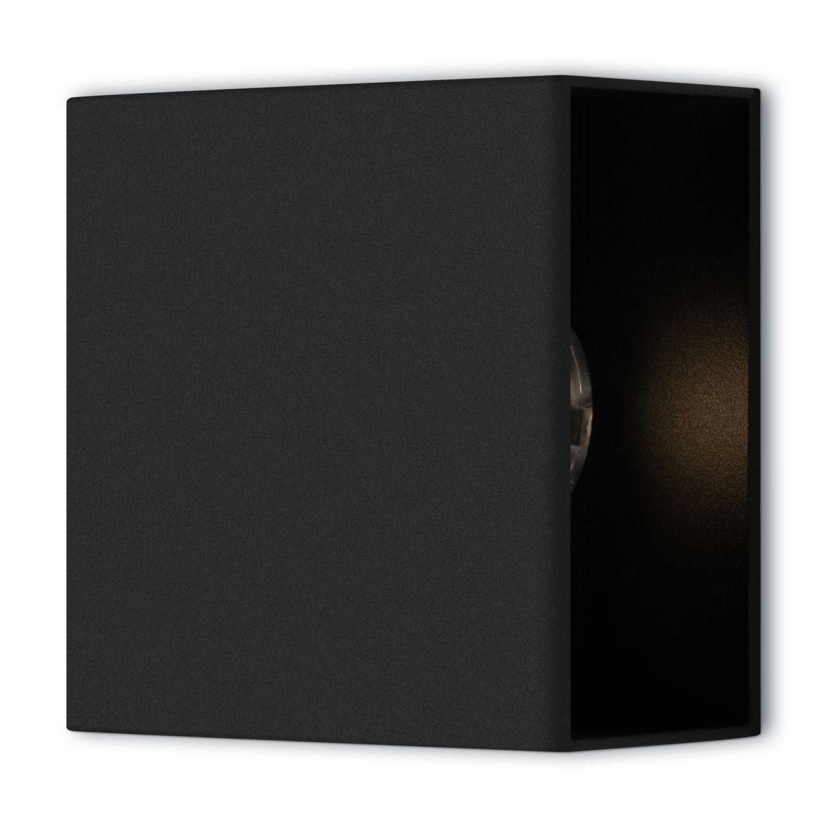 Настенный светильник черный Freya Fless FR10005WL-L6B в Санкт-Петербурге