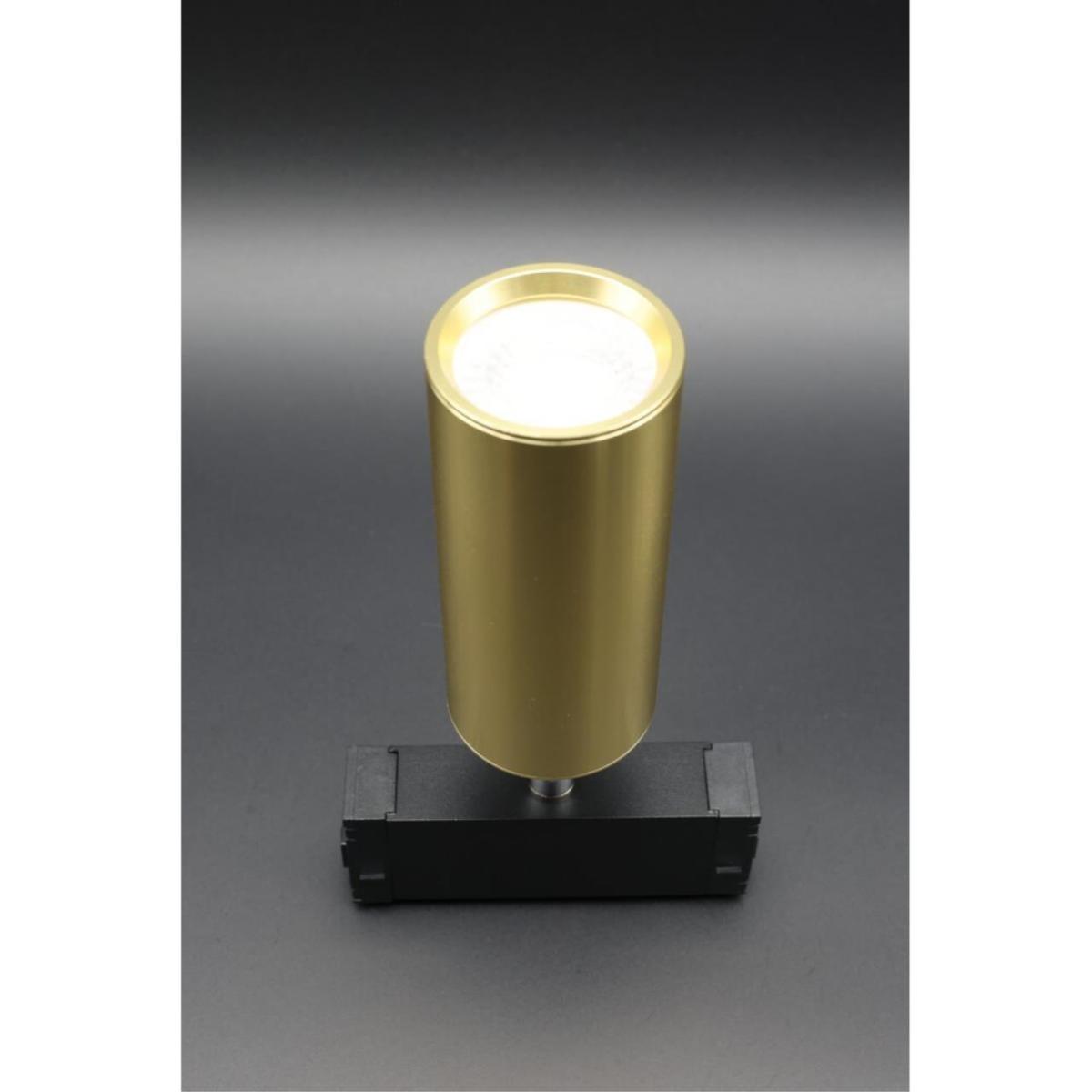 Трековый магнитный светильник Aployt Magnetic track 220 APL.0209.10.01 в Санкт-Петербурге