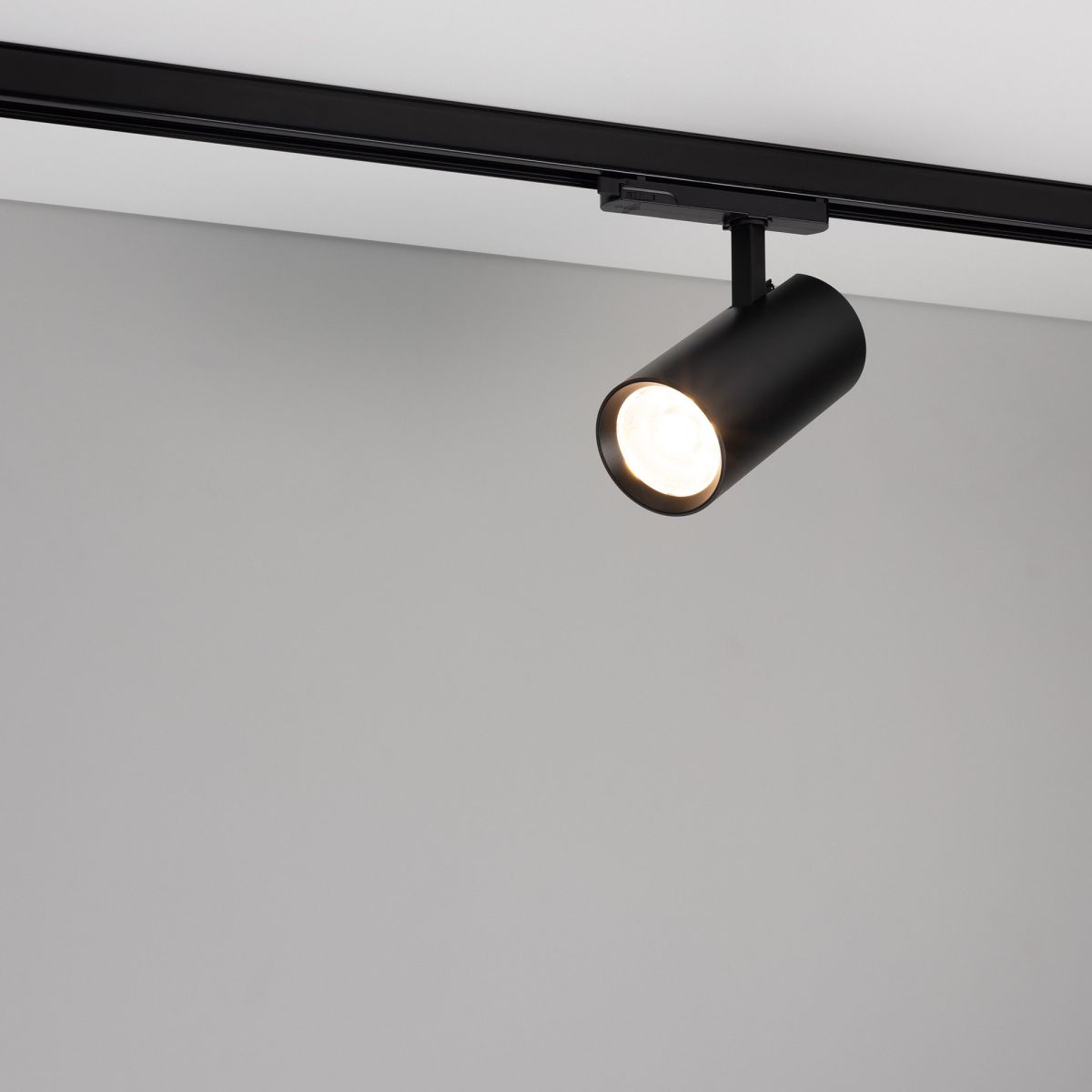 Трековый трехфазный светильник Arlight LGD-GERA-4TR-R90-30W Warm SP2900-Meat (BK, 36 deg, 230V) (IP20 Металл) 060067 в Санкт-Петербурге