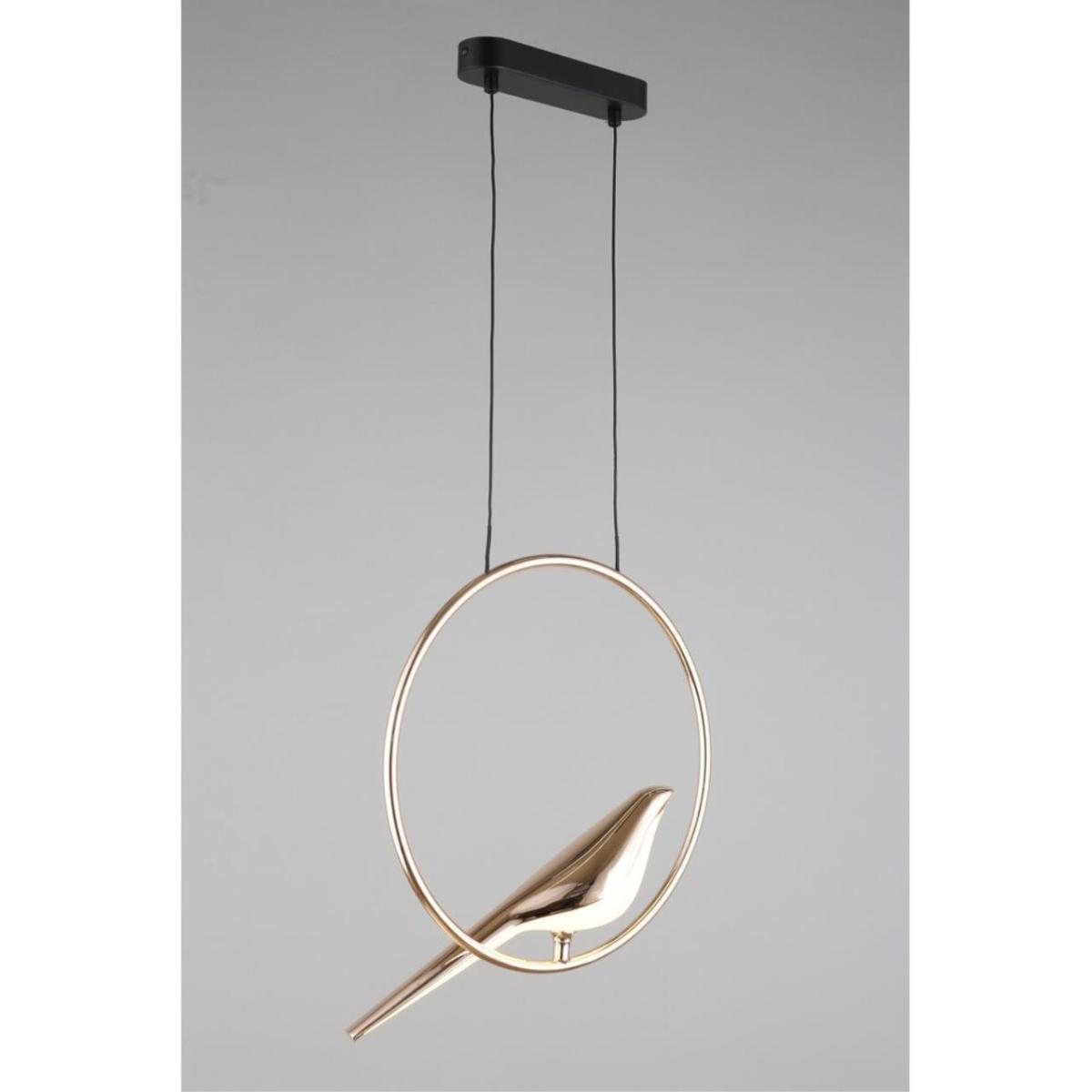 Подвесной светодиодный светильник Aployt Astor APL.822.06.10 в Санкт-Петербурге