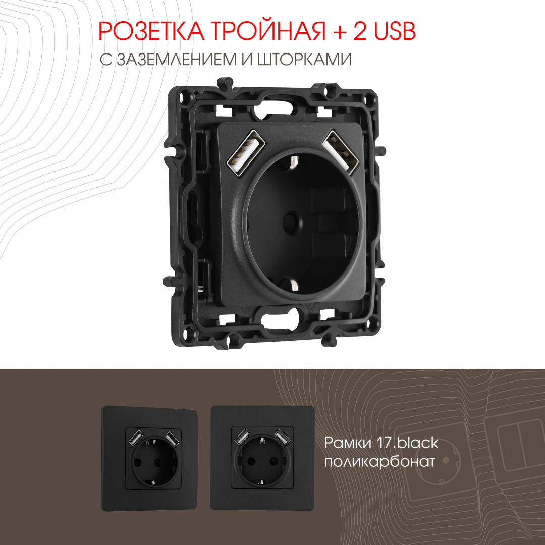 Розетка с заземлением, шторками + 2 USB Arte Milano 217.47-1.black в Санкт-Петербурге