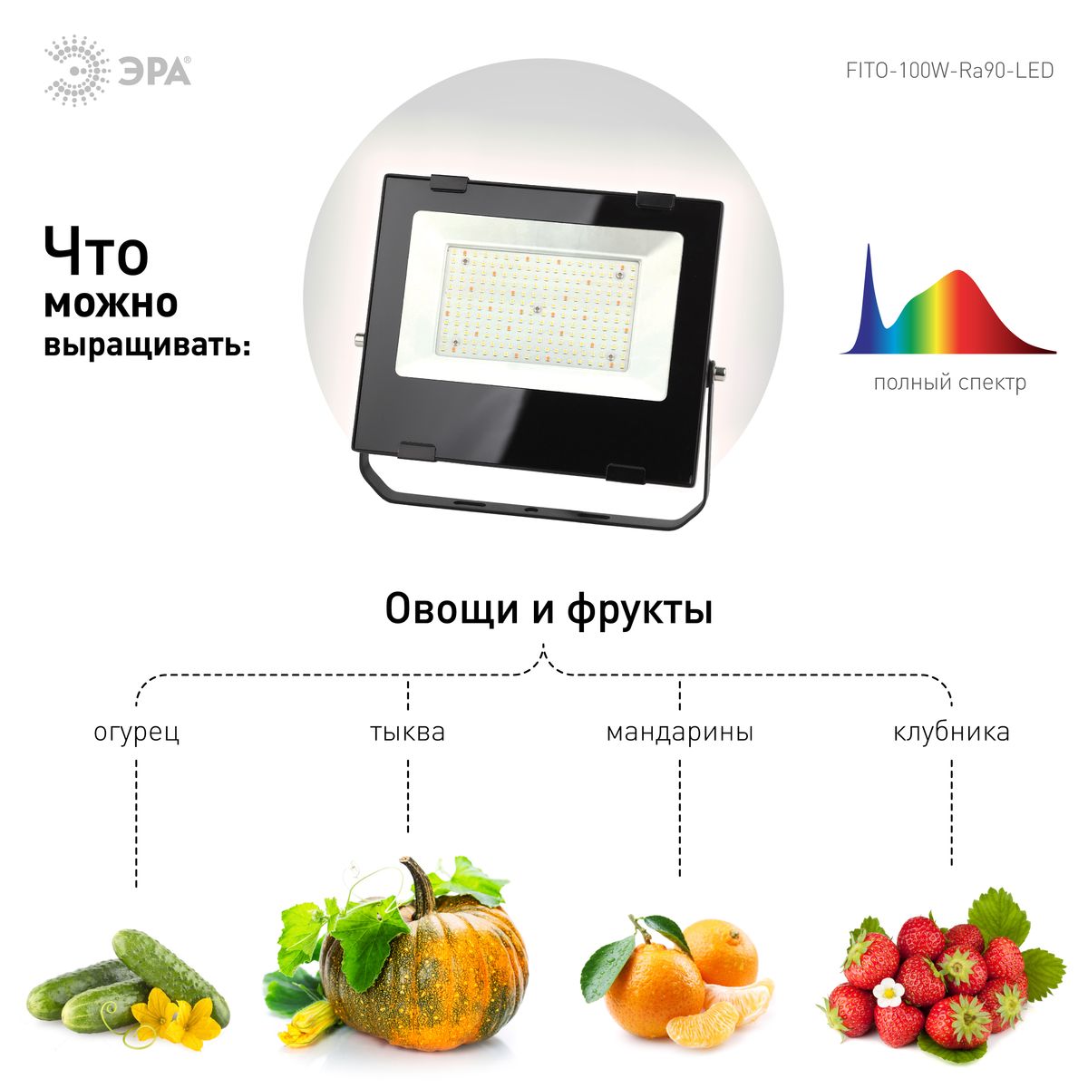 Фитопрожектор для растений ЭРА FITO-100W-Ra90-LED Б0047876 в Санкт-Петербурге