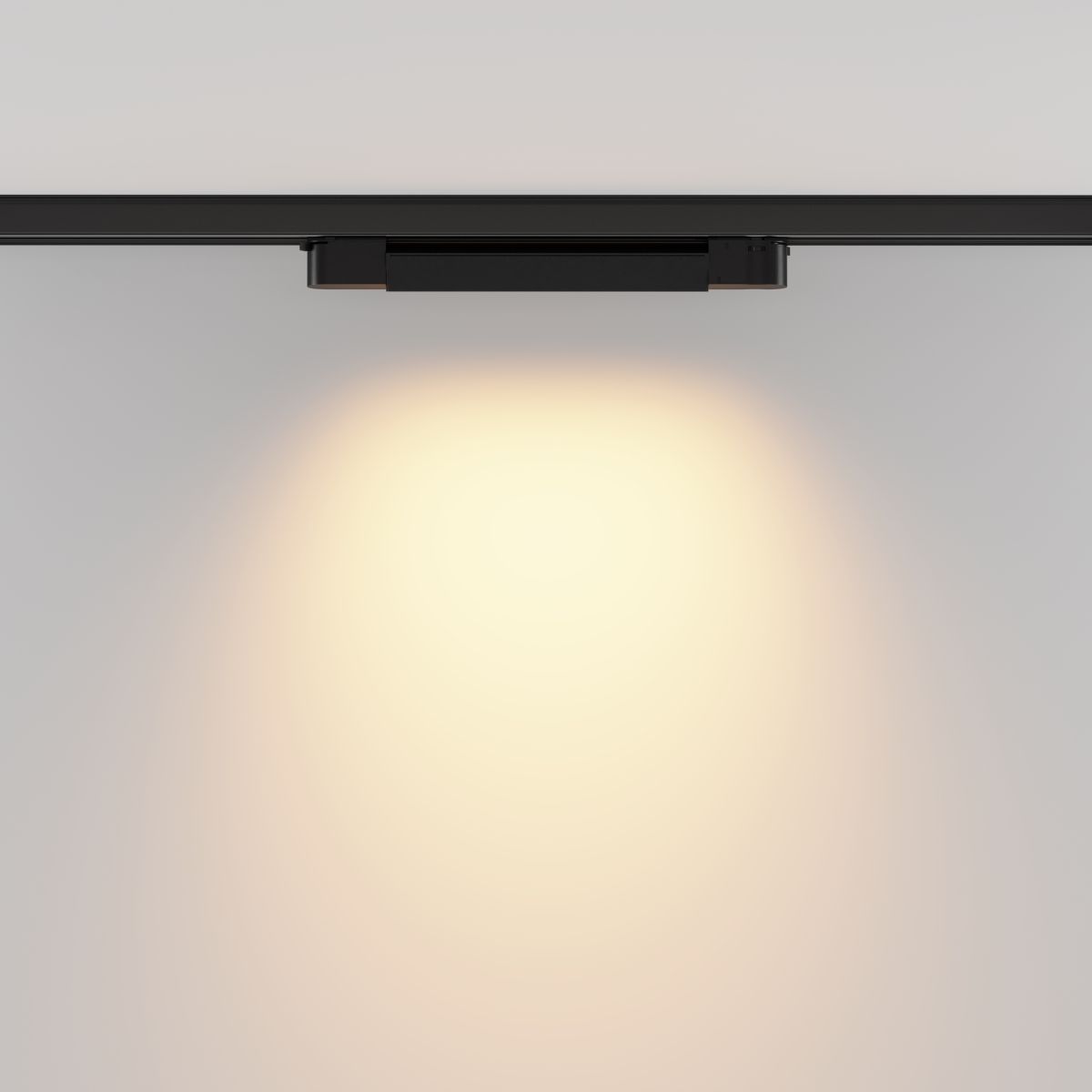 Трековый трехфазный светильник Maytoni Technical Basis TR196-3-10W2.7K-B(N) в Санкт-Петербурге