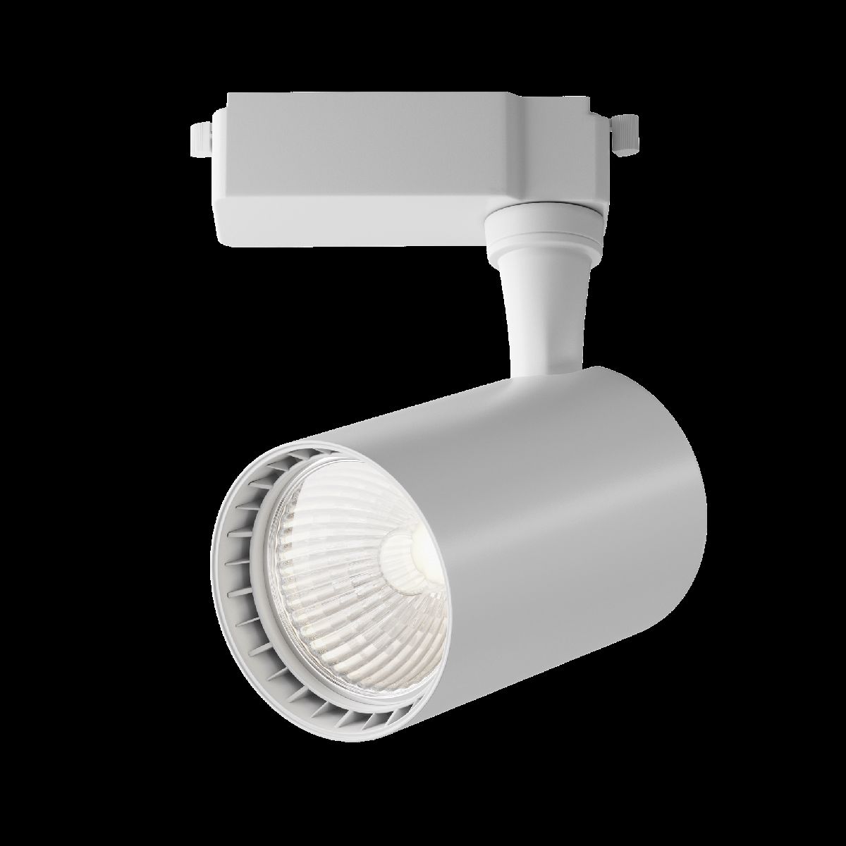 Трековый светильник Maytoni Technical Vuoro TR003-1-10W4K-W-W в Санкт-Петербурге
