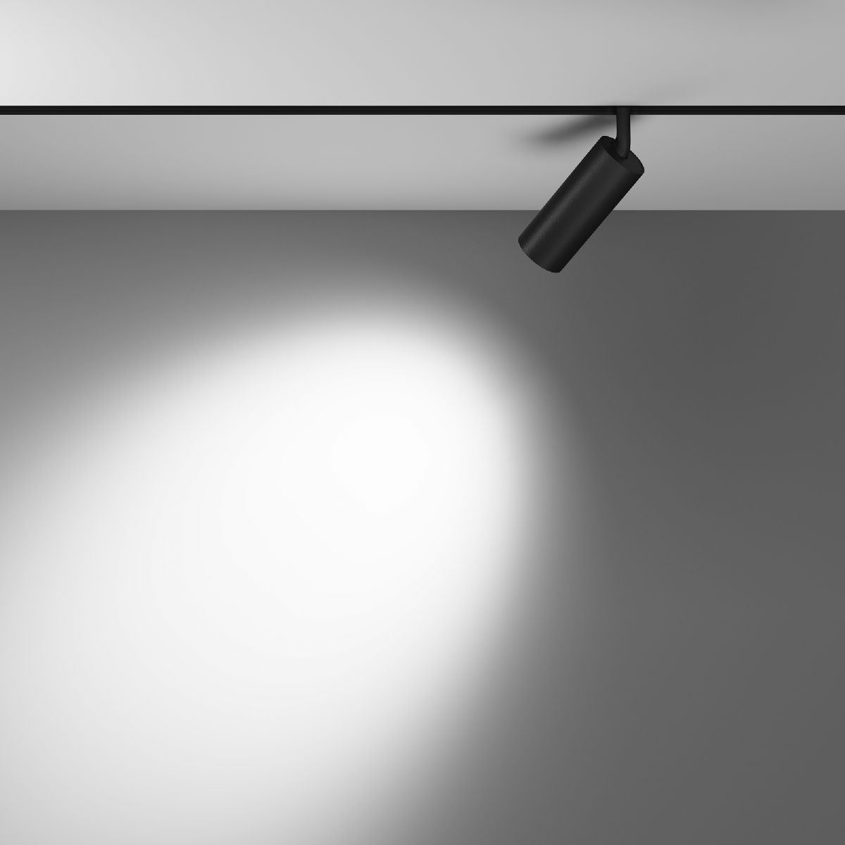 Трековый светодиодный светильник Maytoni Technical Focus Led TR032-4-12W3K-M-DS-B в Санкт-Петербурге