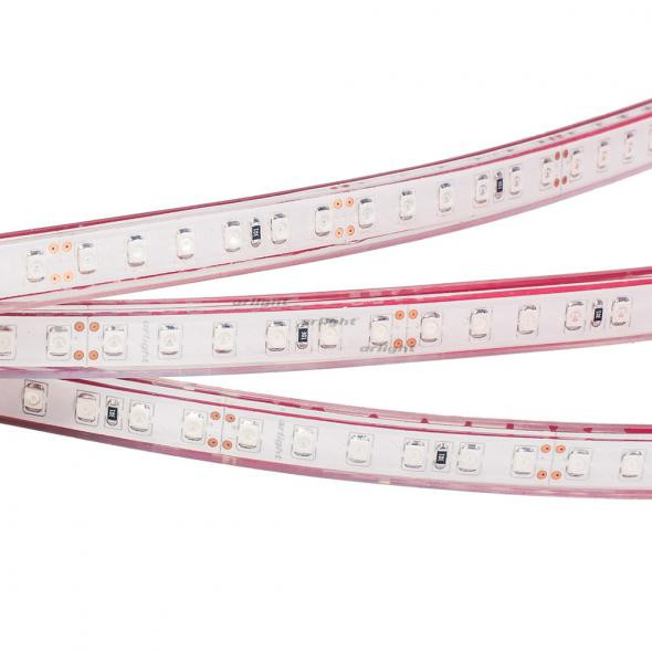 Светодиодная лента Arlight RTW 2-5000PGS 24V Yellow 2x (3528, 600 LED, LUX) 015133 в Санкт-Петербурге