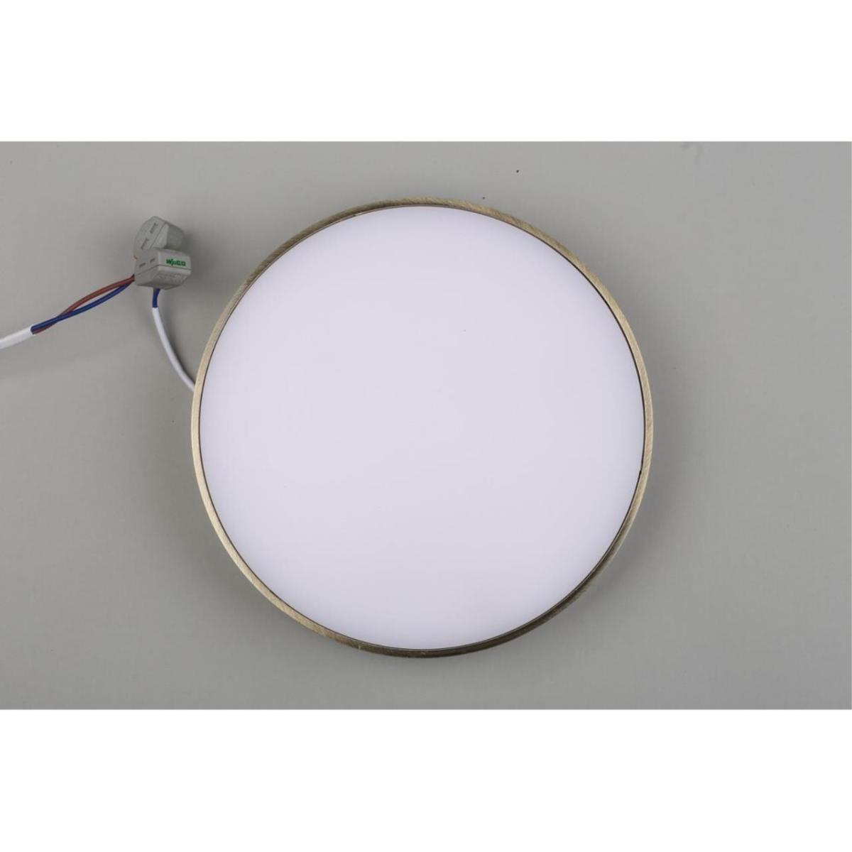 Потолочный светильник Aployt Evon APL.0113.29.24 в Санкт-Петербурге