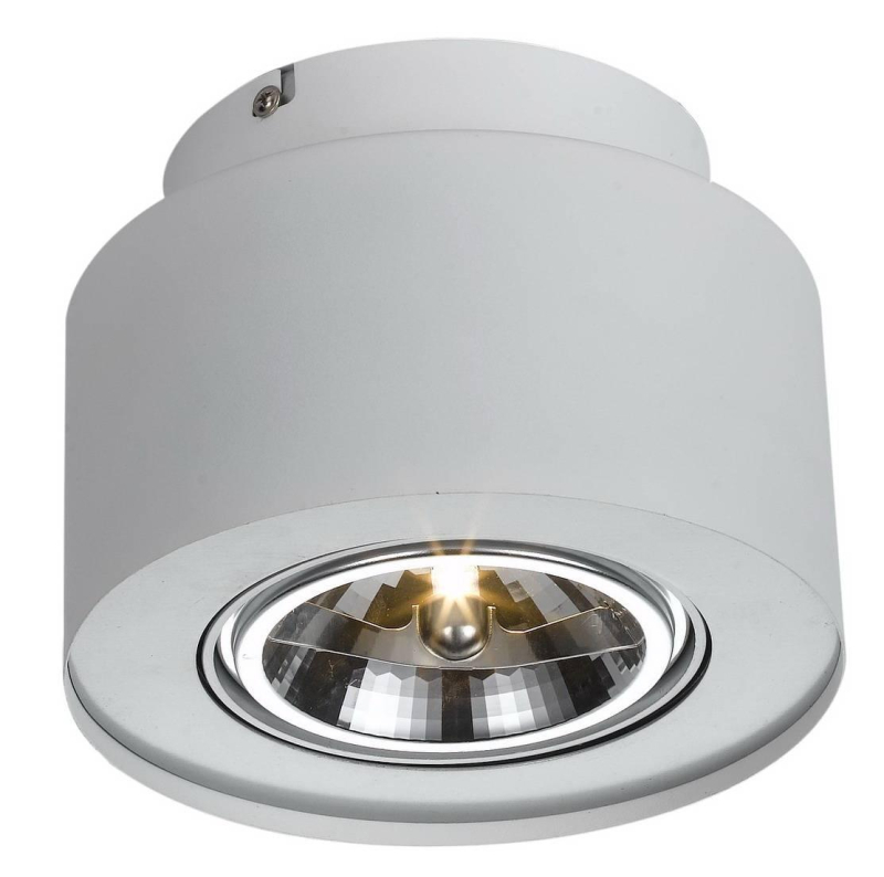 Потолочный светильник Arte Lamp Cliff A5643PL-1WH в Санкт-Петербурге