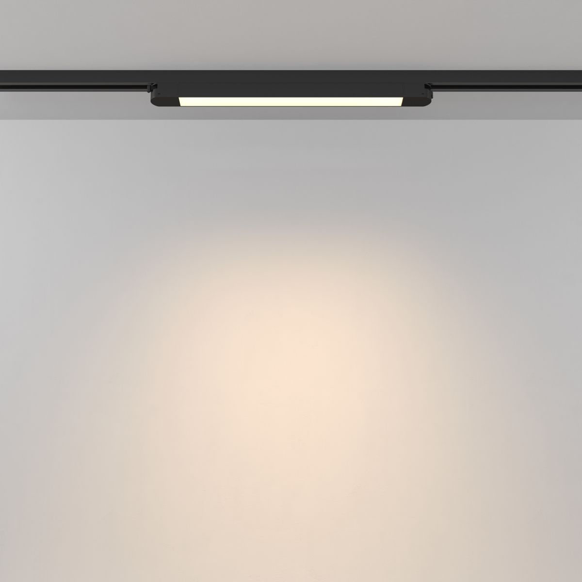 Трековый однофазный светильник Maytoni Technical Basis TR000-1-12W3K-B_1 в #REGION_NAME_DECLINE_PP#