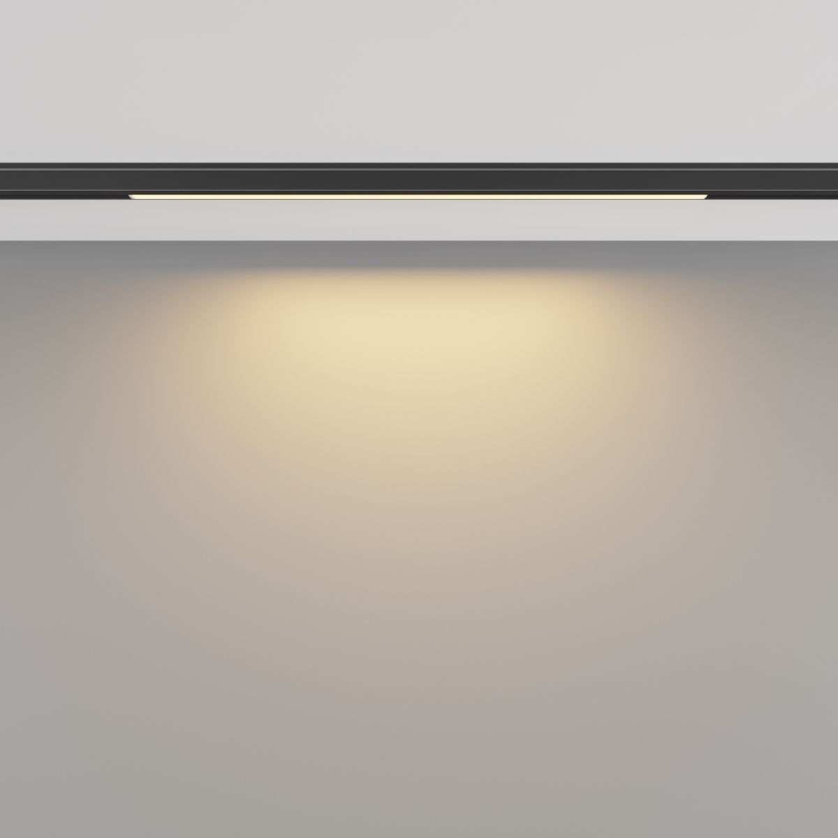 Трековый магнитный светильник Maytoni Basis TR190-1-5W2.7K-B в Санкт-Петербурге