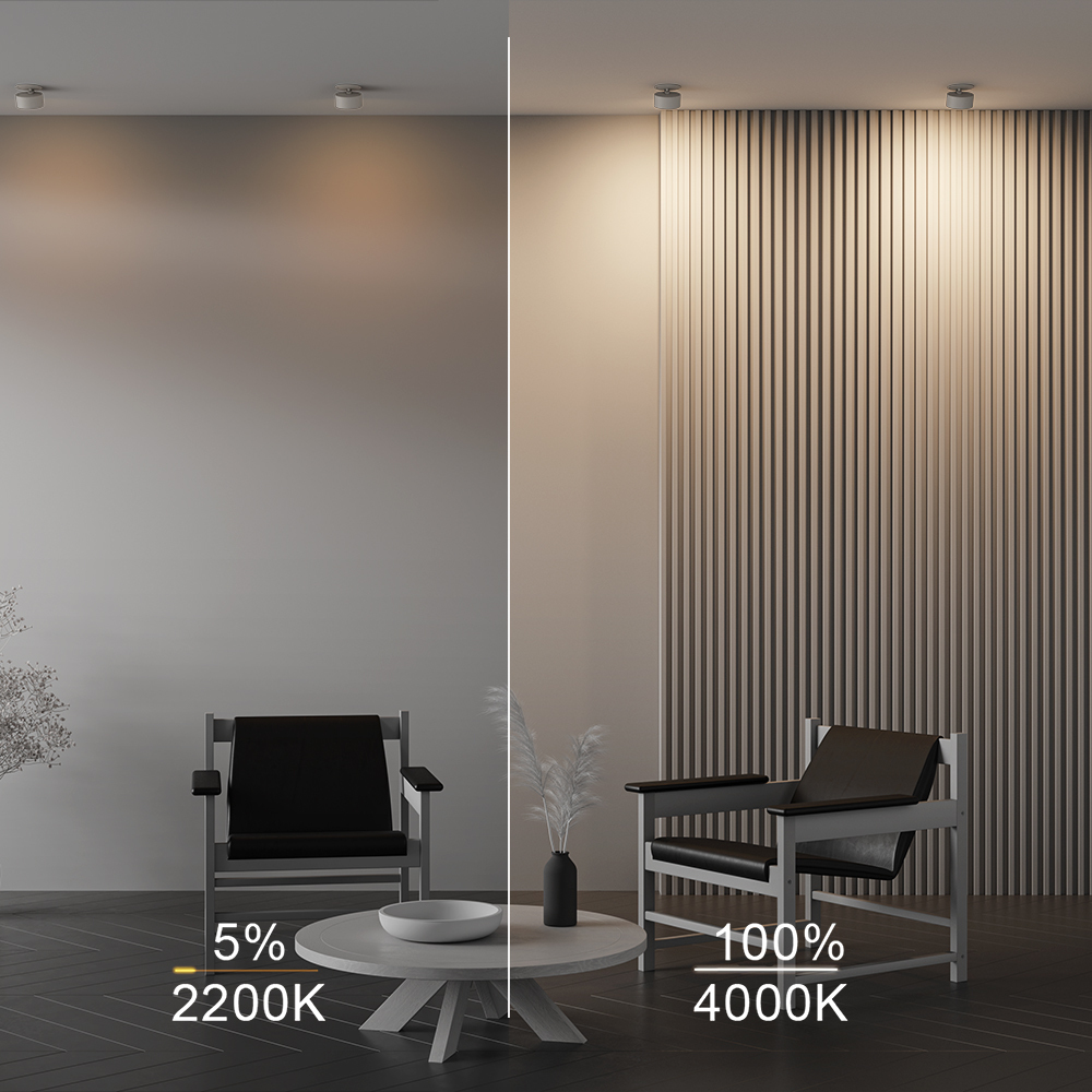 Встраиваемый светильник Maytoni Onda DL024-12W-DTW-W в Санкт-Петербурге