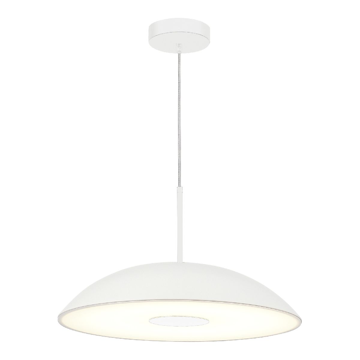 Подвесной светильник ST Luce Lid SL6128.503.01 в Санкт-Петербурге