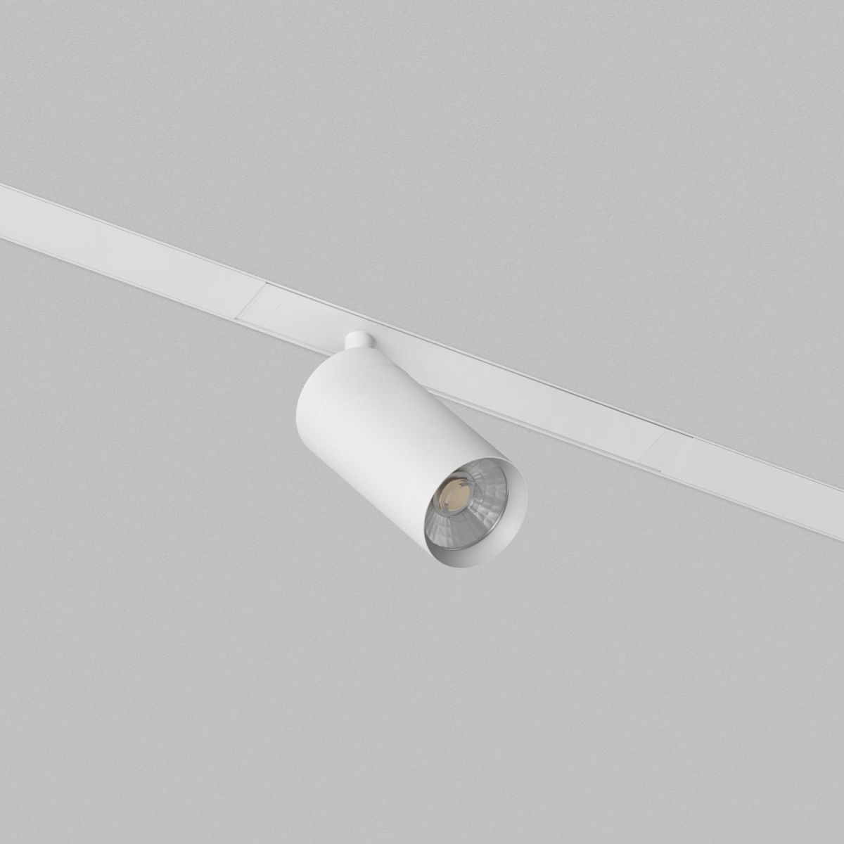 Трековый однофазный светильник Denkirs Simple Spot DK8110-WH в Санкт-Петербурге