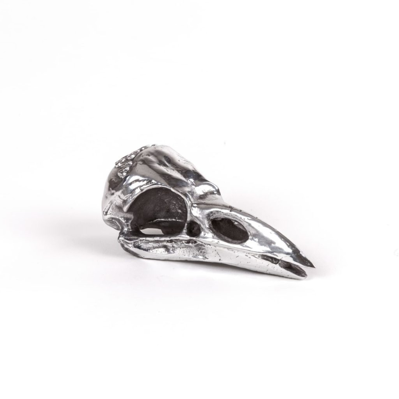 Статуэтка Bird Skull Seletti Wunderkammer 10895 в Санкт-Петербурге