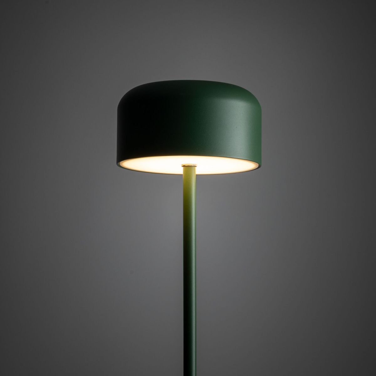 Торшер TK Lighting 19007 Noa Green a073035 в Санкт-Петербурге