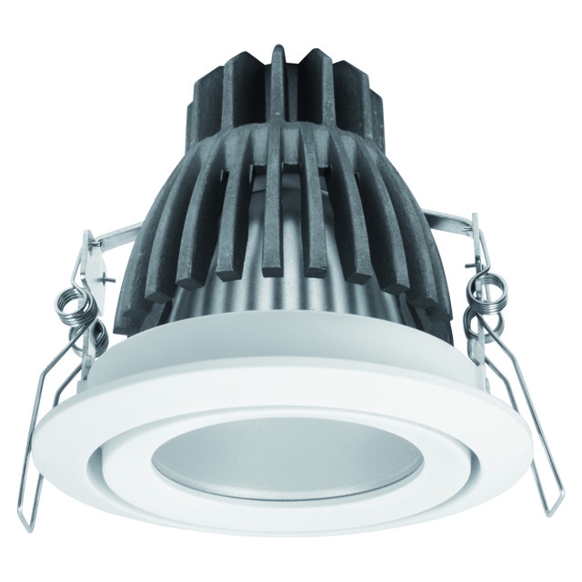 Карданный светильник Kanlux Dago Power Led DLP-10 8900 в Санкт-Петербурге