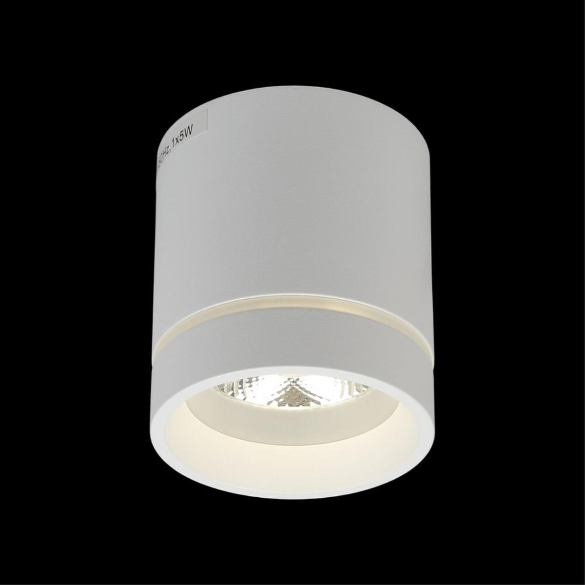 Потолочный светильник Aployt Gita APL.0044.09.05 в Санкт-Петербурге