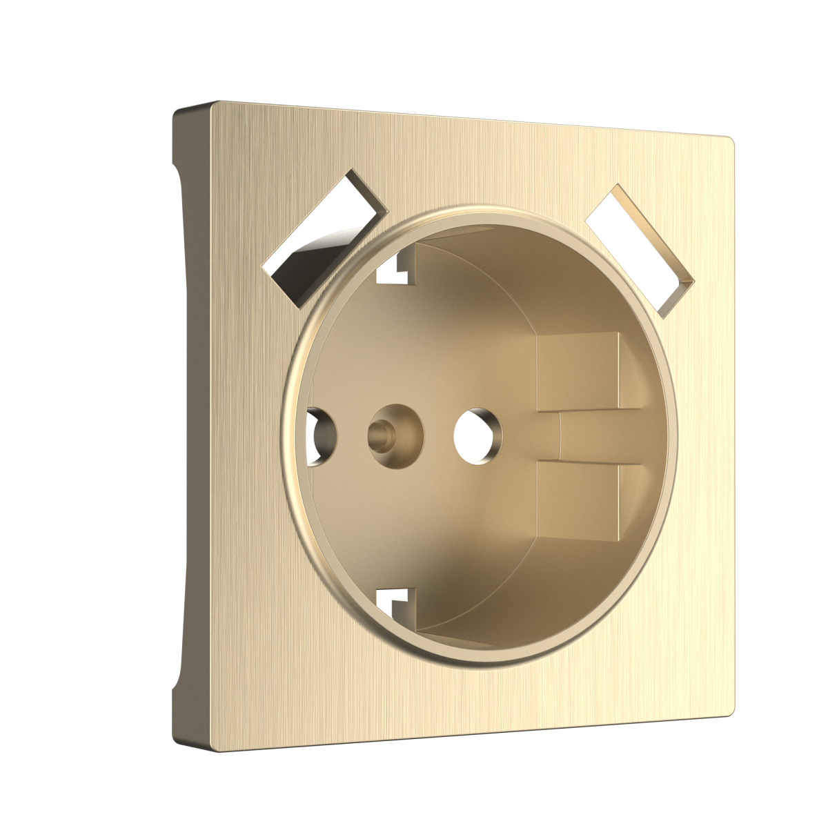 Накладка для розетки USB Werkel шампань рифленый W1179510 4690389160592 в Санкт-Петербурге