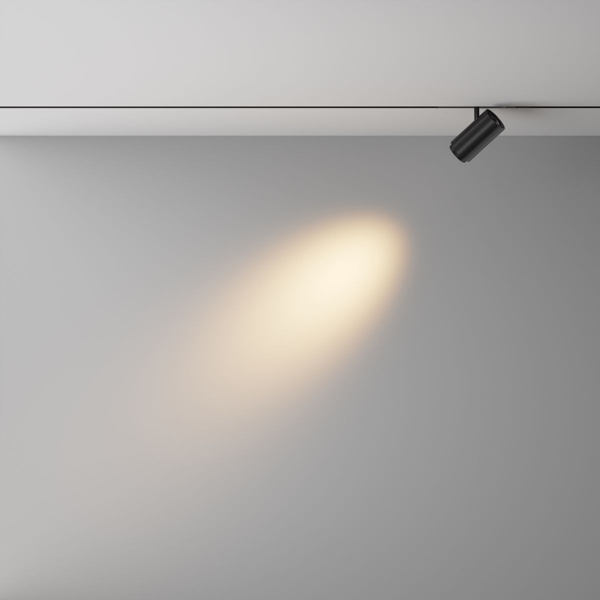 Трековый магнитный светильник Maytoni Technical Focus Zoom Exility X TR244-12W3K-B в Санкт-Петербурге