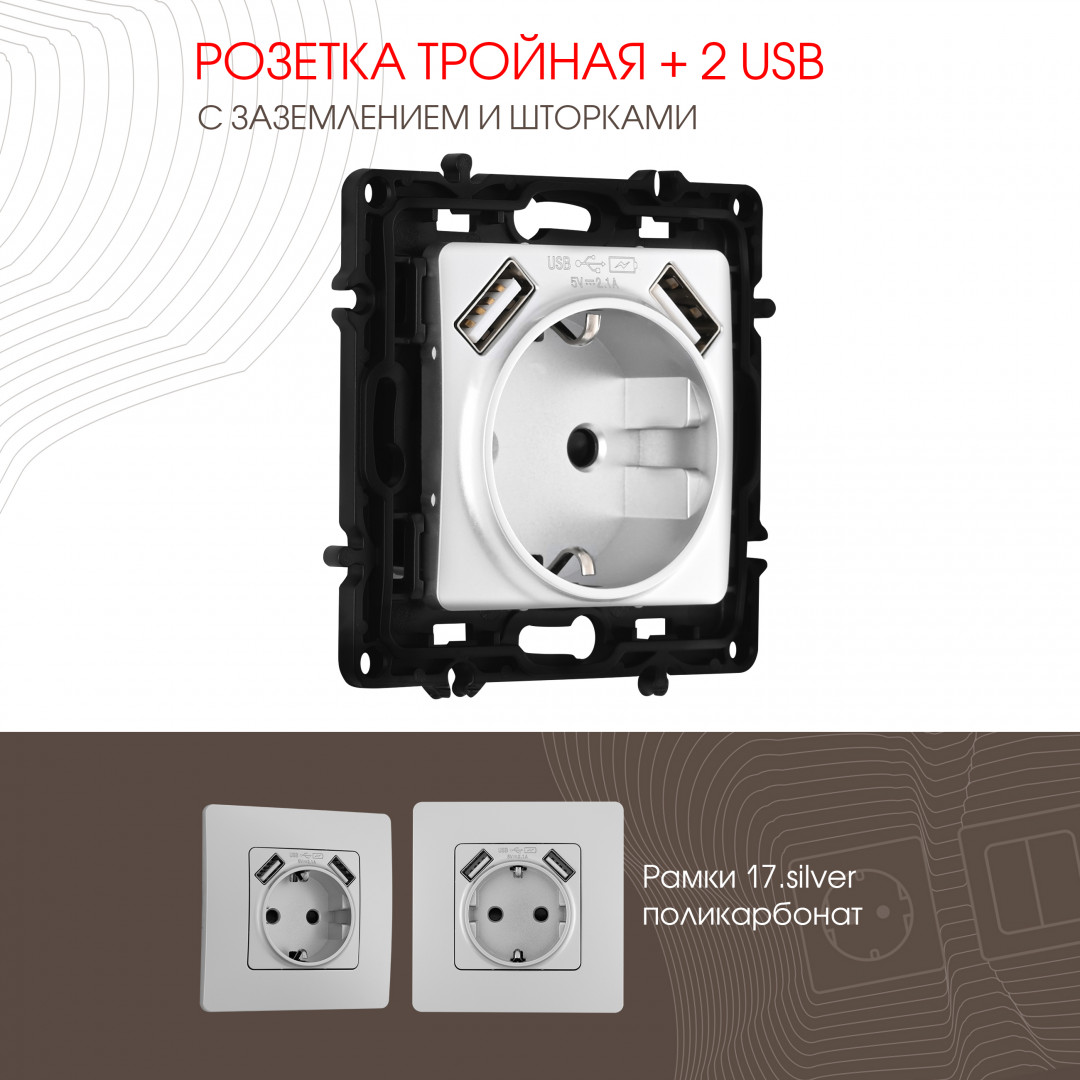 Розетка с заземлением, шторками + 2 USB Arte Milano 217.47-1.silver в Санкт-Петербурге