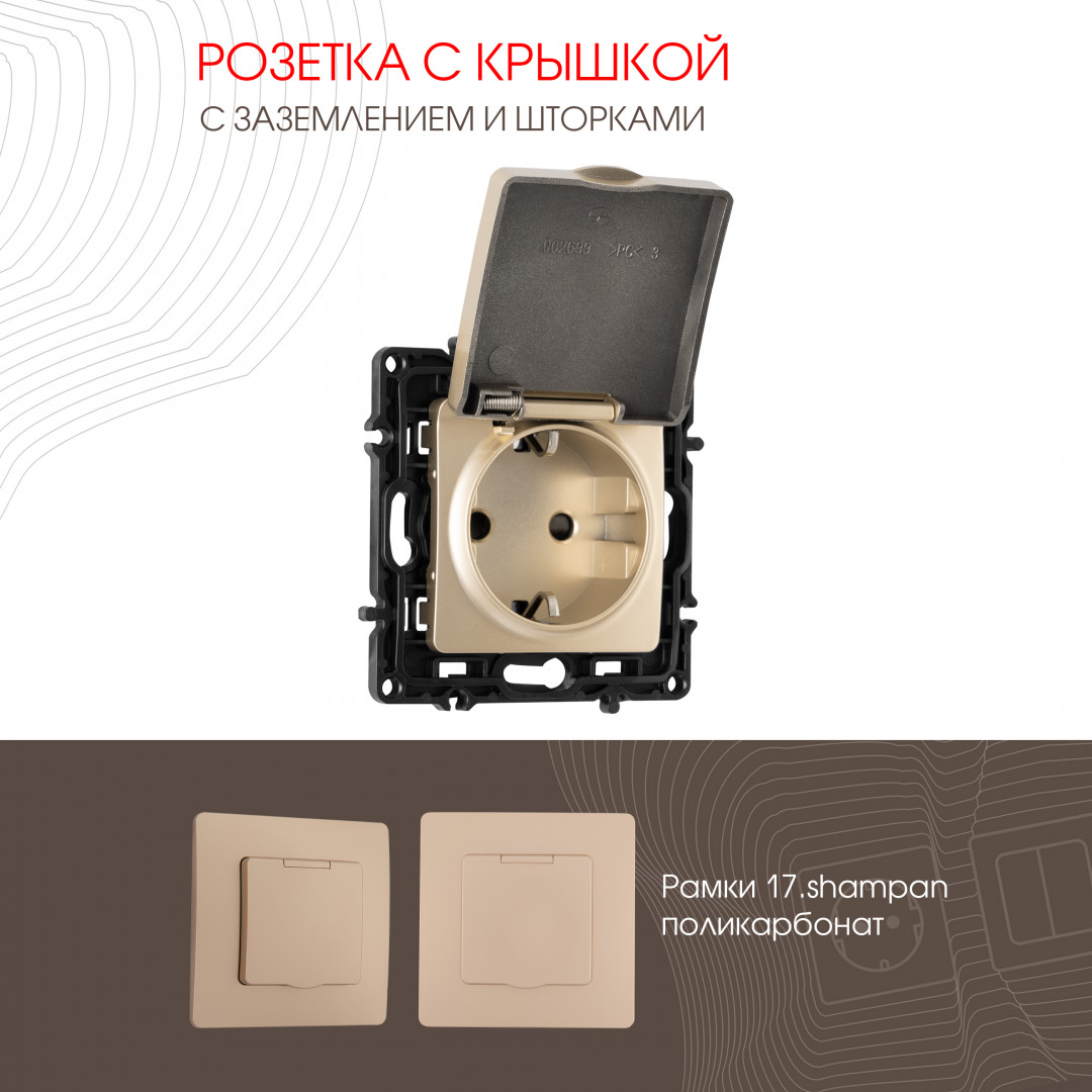 Розетка с заземлением, шторками и защитной крышкой Arte Milano 217.41-1.shampan в Санкт-Петербурге