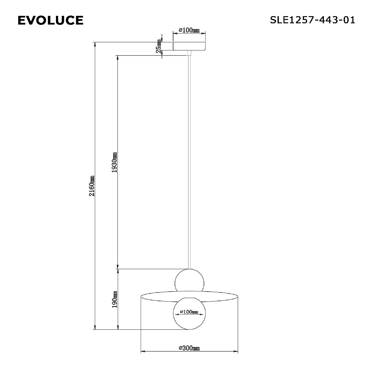 Подвесной светильник Evoluce Rizz SLE1257-443-01 в #REGION_NAME_DECLINE_PP#