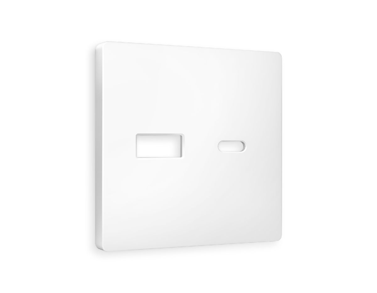 Лицевая панель для розетки 2USB A+C Ambrella Volt Alfa AP1310 в Санкт-Петербурге