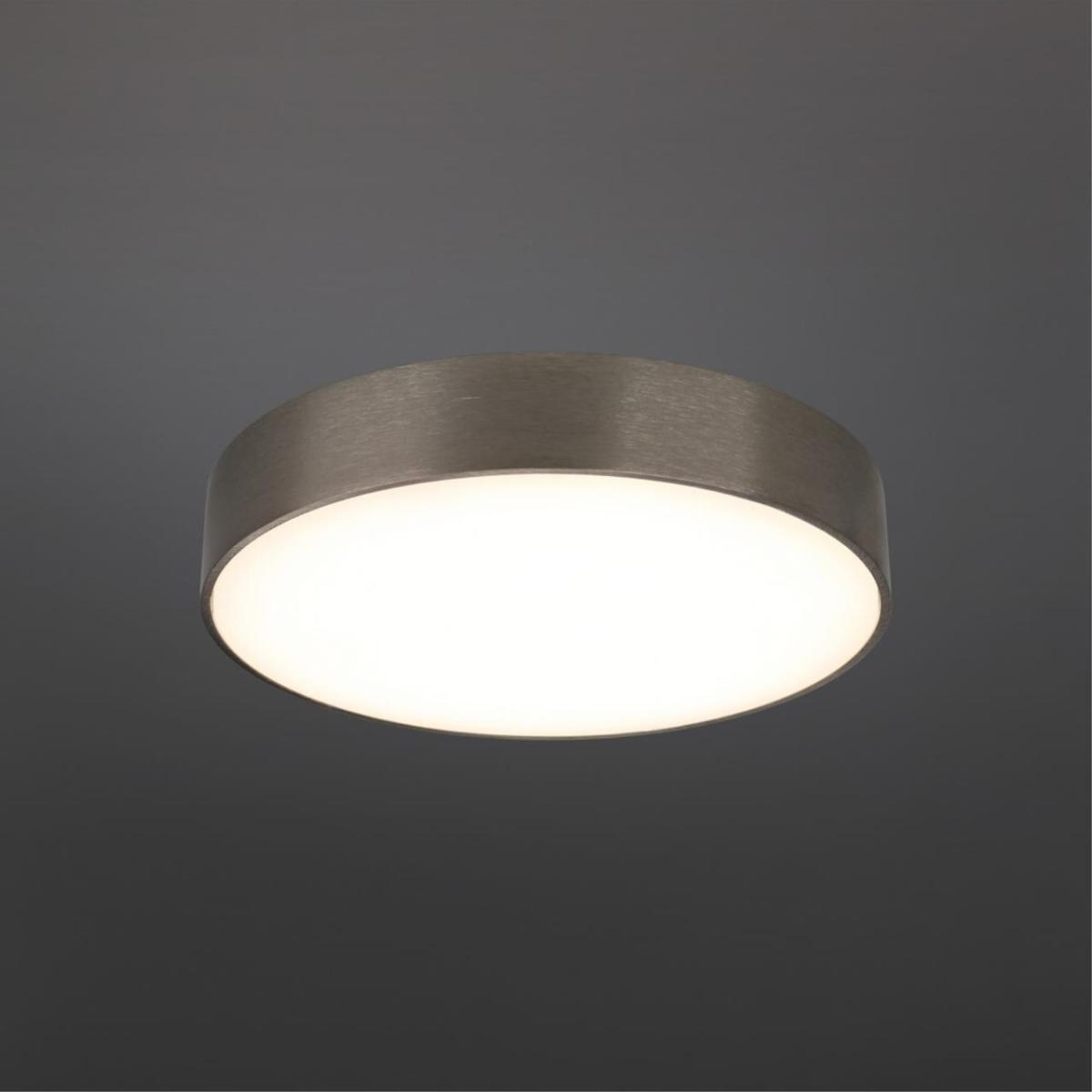 Потолочный светильник Aployt Evon APL.0114.19.24 в Санкт-Петербурге