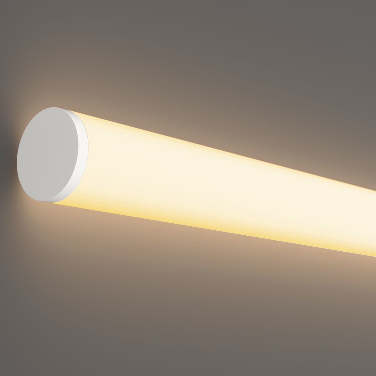 Гибкий неон Maytoni Led Strip Nemo D25 48В 12,5Вт/м 3000К IP65 20м в Санкт-Петербурге