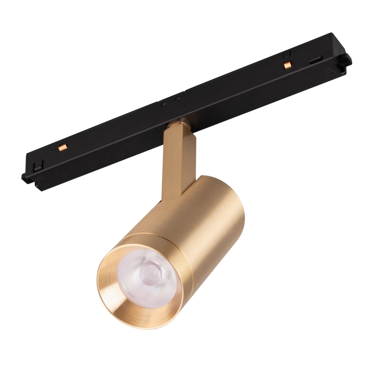 Трековый магнитный светильник Arlight MAG-ORIENT-SPOT-R45-12W Day4000 (Золотой, 24 deg, 48V) (IP20 Металл) 040889(1) в Санкт-Петербурге
