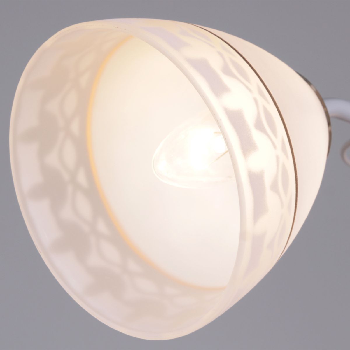 Потолочная люстра Reluce 11460-0.3-05 WH+FG в Санкт-Петербурге