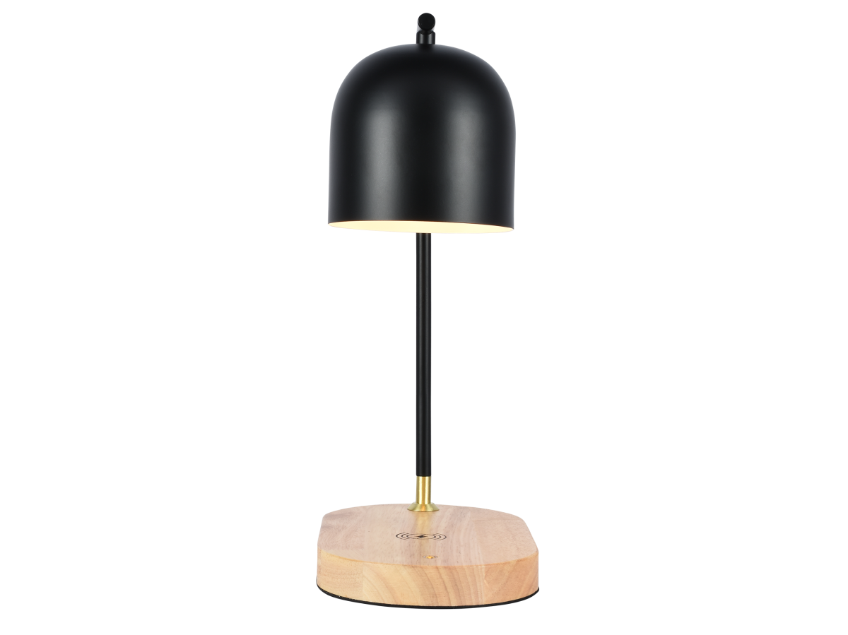 Настольная лампа Zortes DeskLight ZRS.1066.01 в Санкт-Петербурге