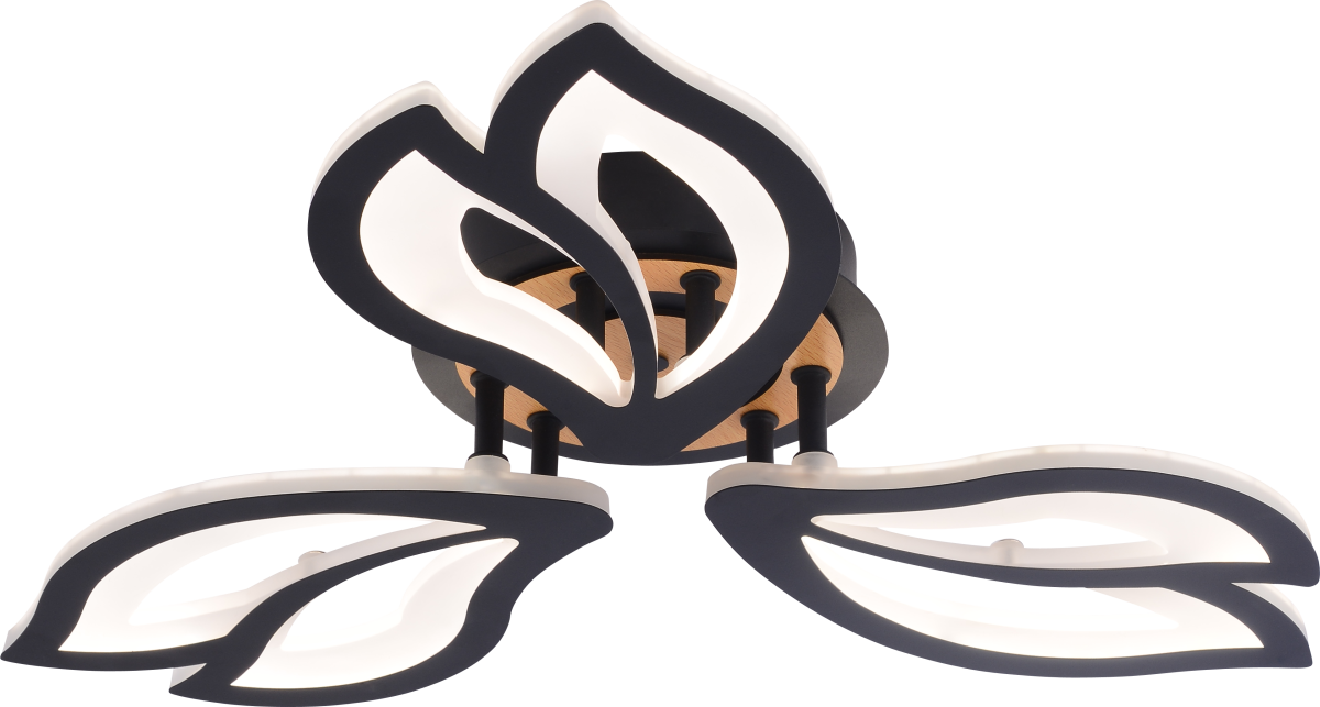 Потолочный светильник Rivoli Lana 6195-703 Б0070142 в Санкт-Петербурге