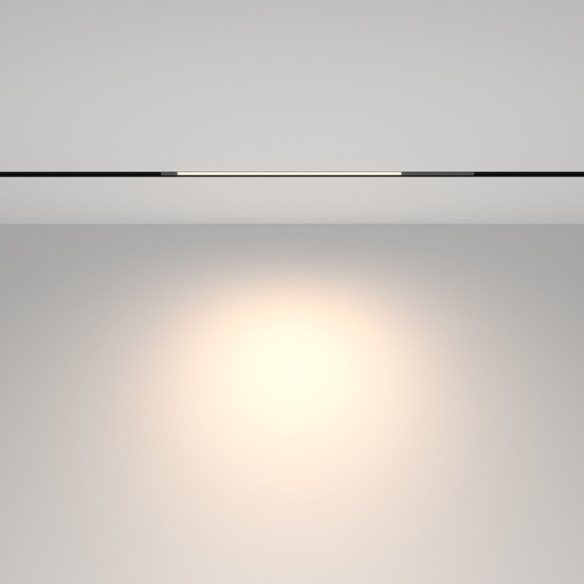 Трековый магнитный светильник Maytoni Technical Basis TR231-2-10W4K-B в Санкт-Петербурге