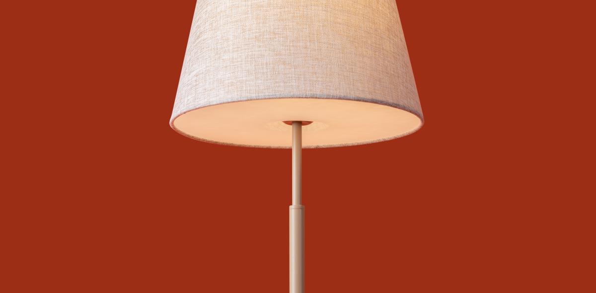 Настольная лампа Freya Butler FR2057TL-01BG в Санкт-Петербурге