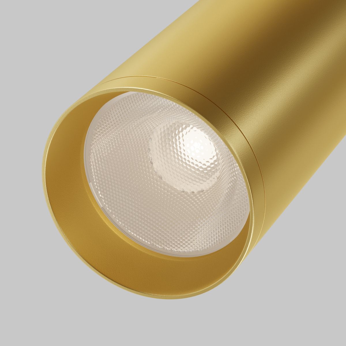 Потолочный светильник Maytoni Technical Focus C017CW-01MG-N в Санкт-Петербурге
