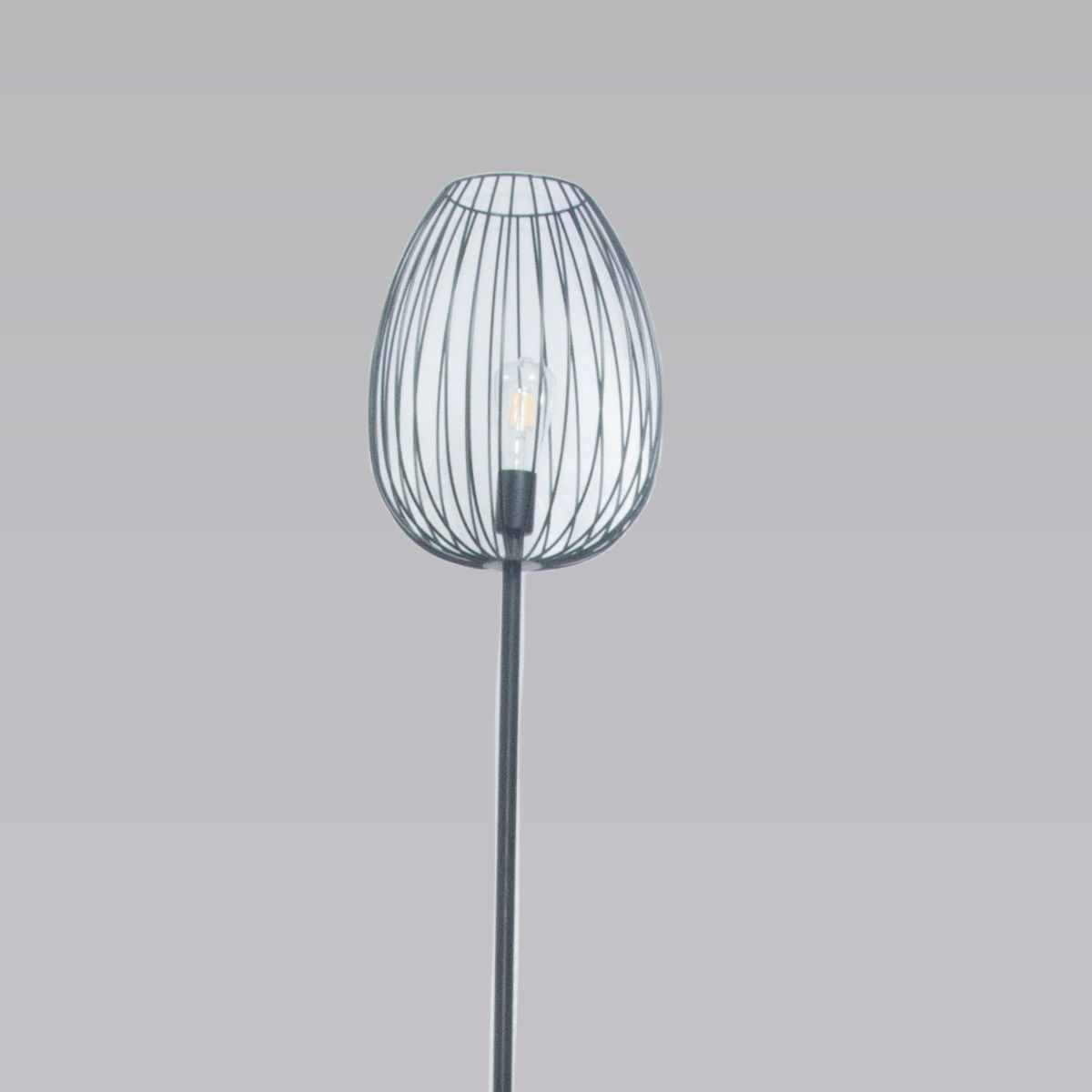 Торшер Alfa Light F3524-43 в Санкт-Петербурге