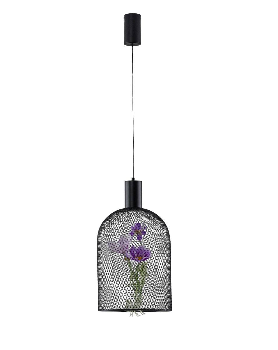 Подвесной светильник Moderli Ophelia V11875-PL в #REGION_NAME_DECLINE_PP#