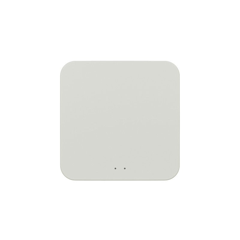 Конвертер WiFi-Zigbee/BLE для умного дома Denkirs Zigbee Control DK7402-WF в Санкт-Петербурге