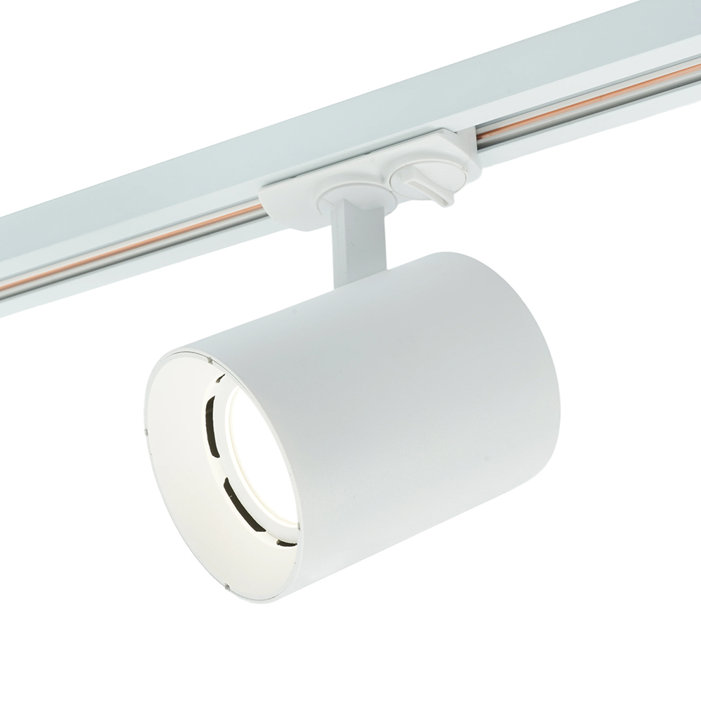 Трековый однофазный светильник Feron AL169 51849 в Санкт-Петербурге