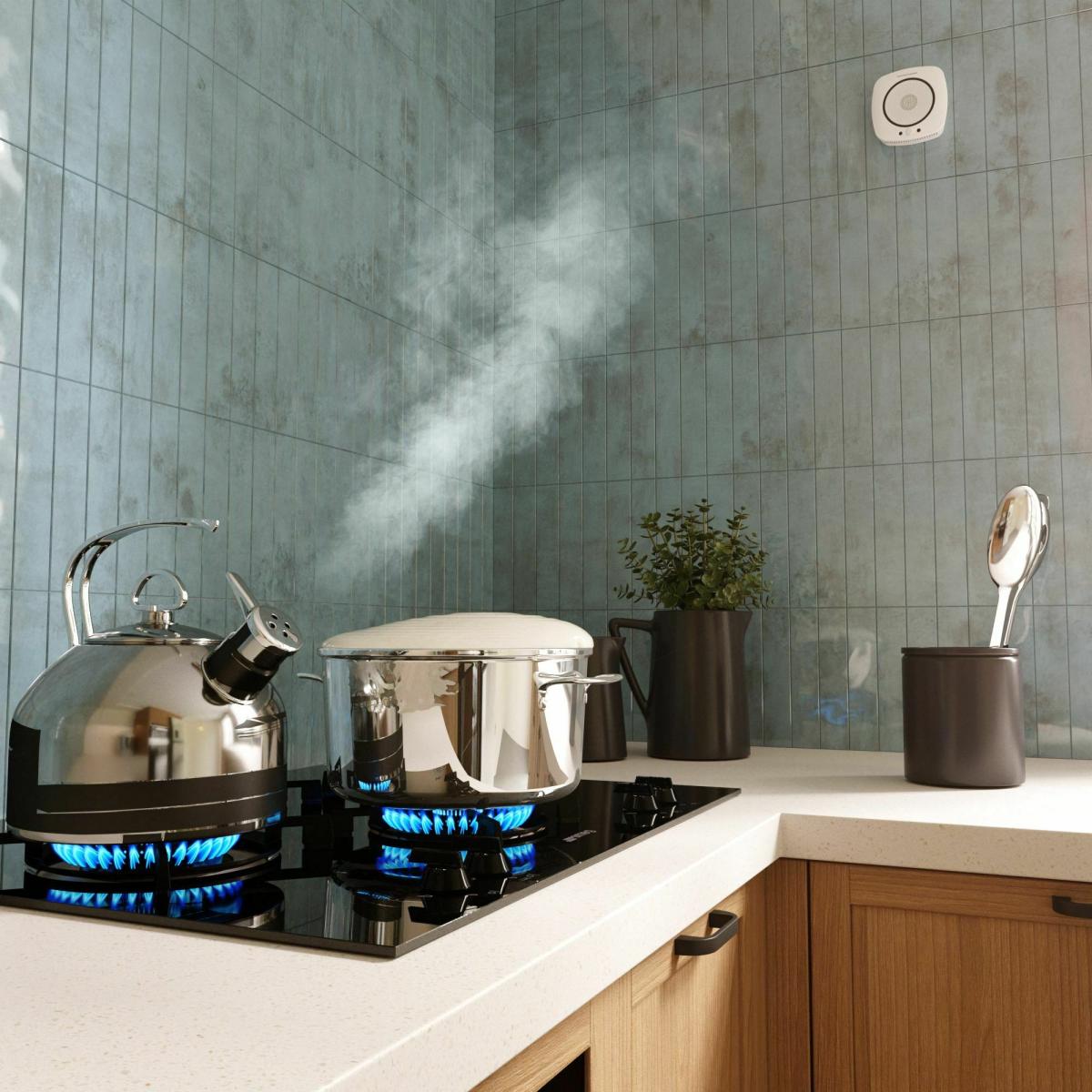 Датчик газа Wi-Fi Elektrostandard 76250/00 4690389186837 в #REGION_NAME_DECLINE_PP#