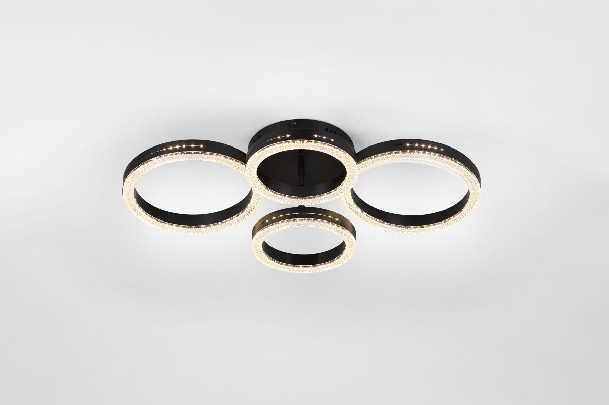 Потолочный светильник Rivoli Flora 6191-201 в Санкт-Петербурге