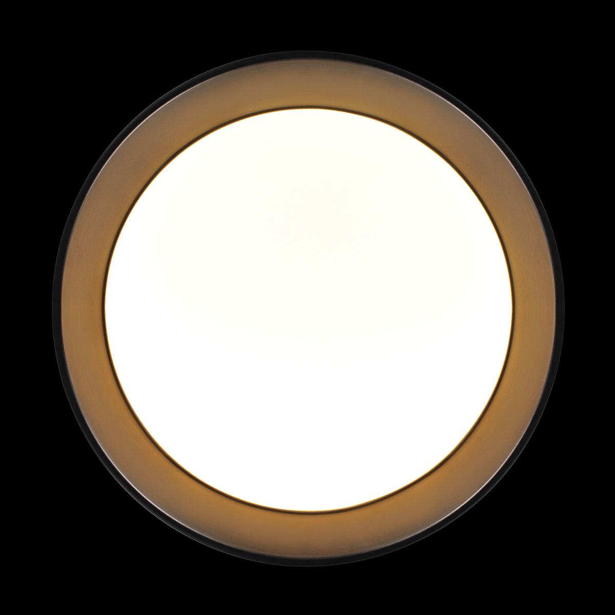 Потолочный светильник Loft IT Coin 10202 BB в Санкт-Петербурге